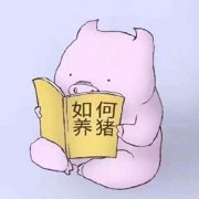 评论头像