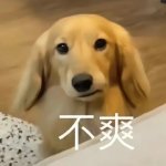 评论头像