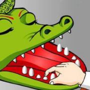 评论头像