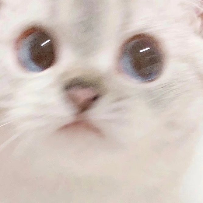 评论头像