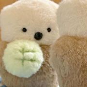 评论头像
