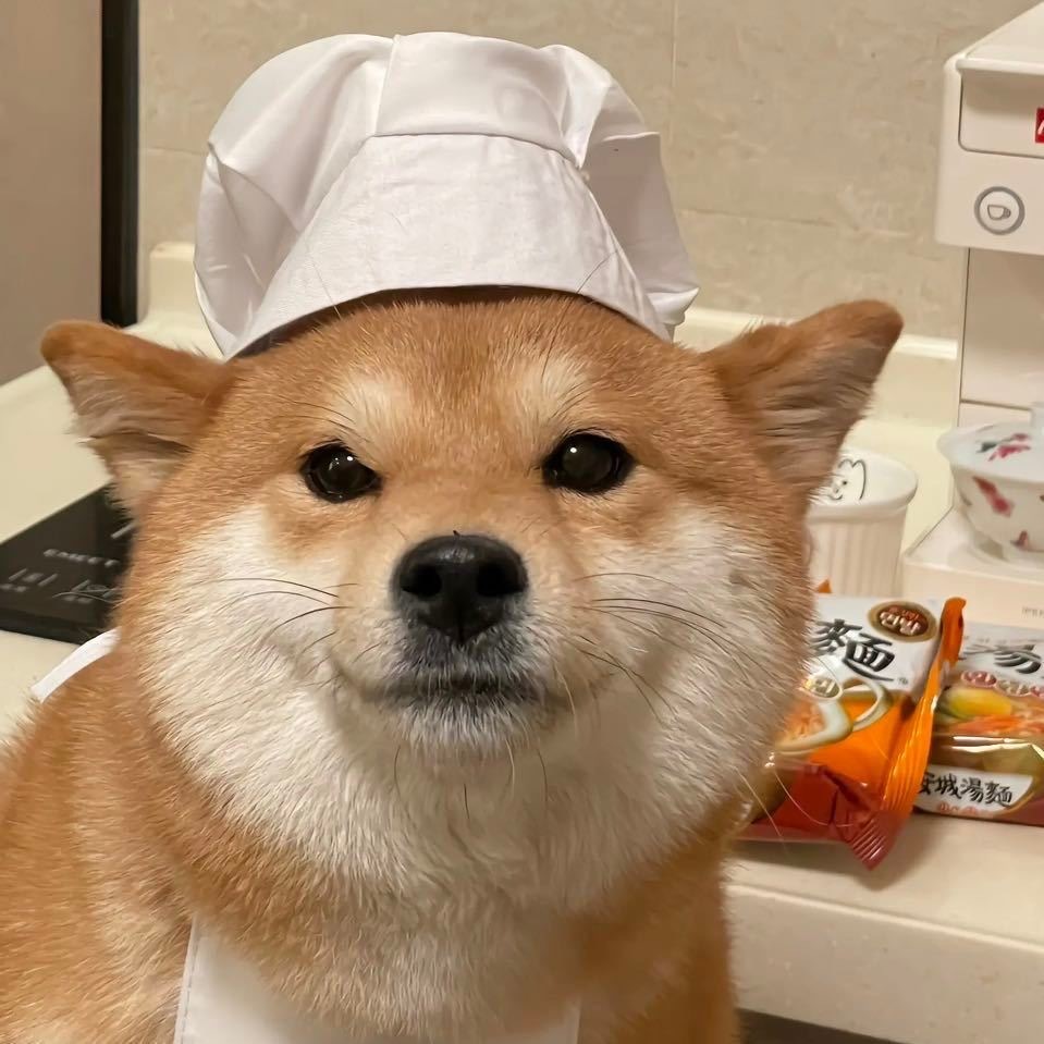 评论头像