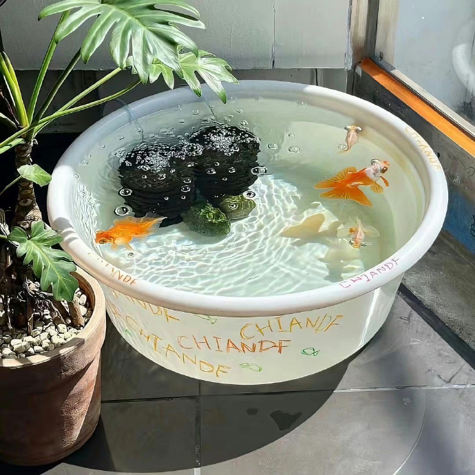 评论头像