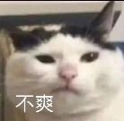 评论头像