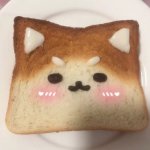 评论头像