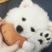 评论头像