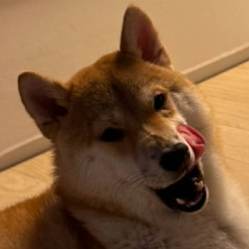 评论头像