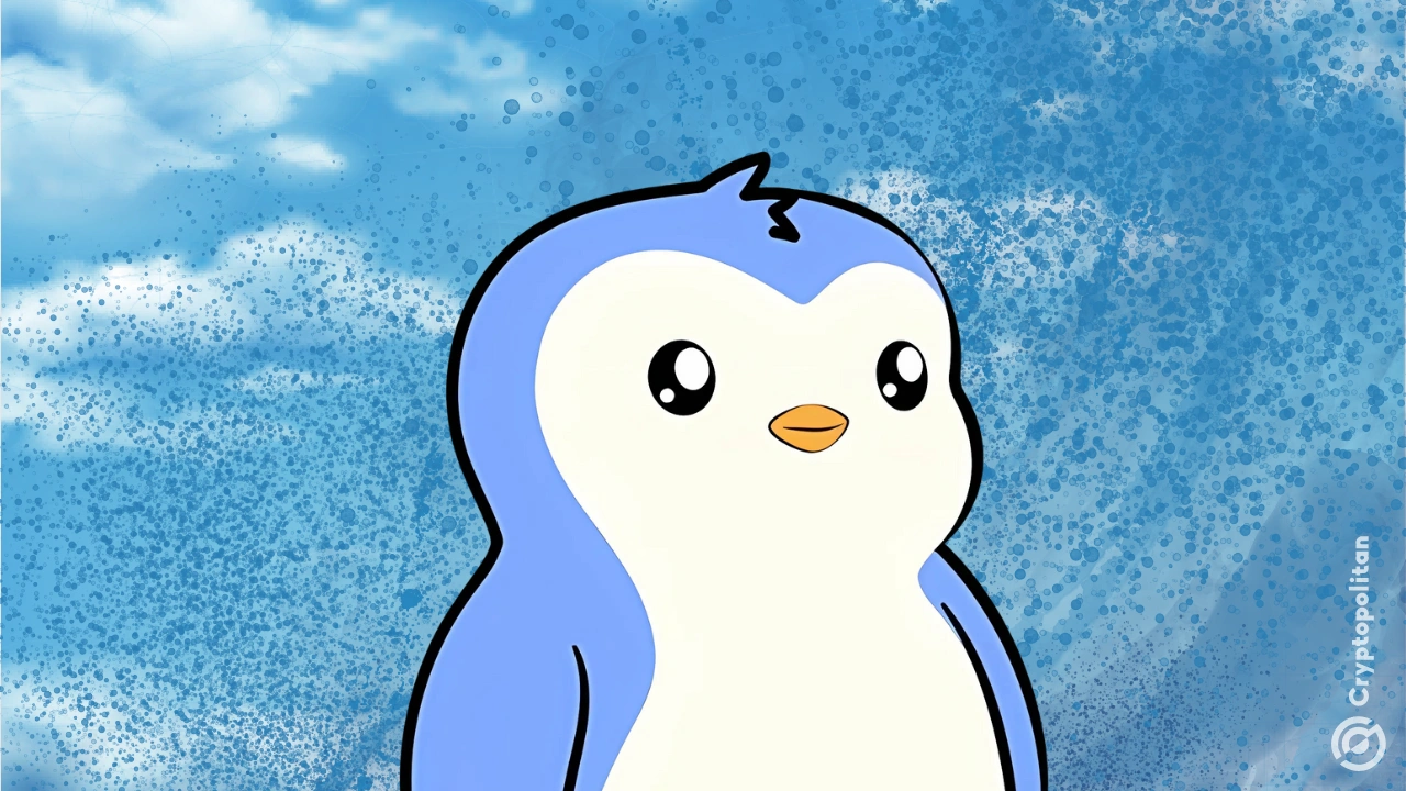 Coinbase 推出 Pudgy Penguins PFP 狂热，PENGU 价格上涨 30% 以上
