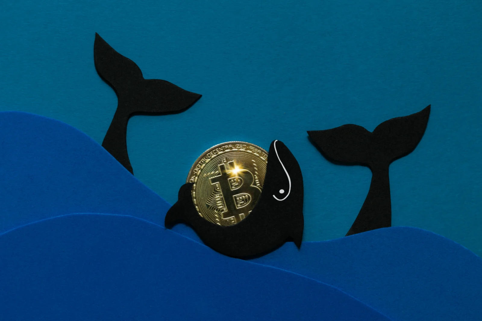 Vị thế nắm giữ của cá voi Bitcoin tăng lên mức cao nhất kể từ giữa tháng 3