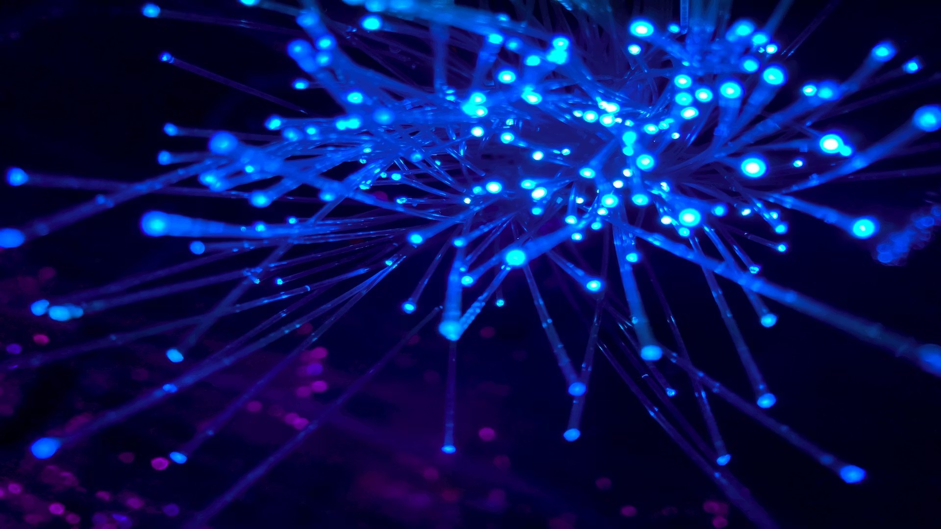 web3 : Miden to launch the privacy stablecoin USDCx