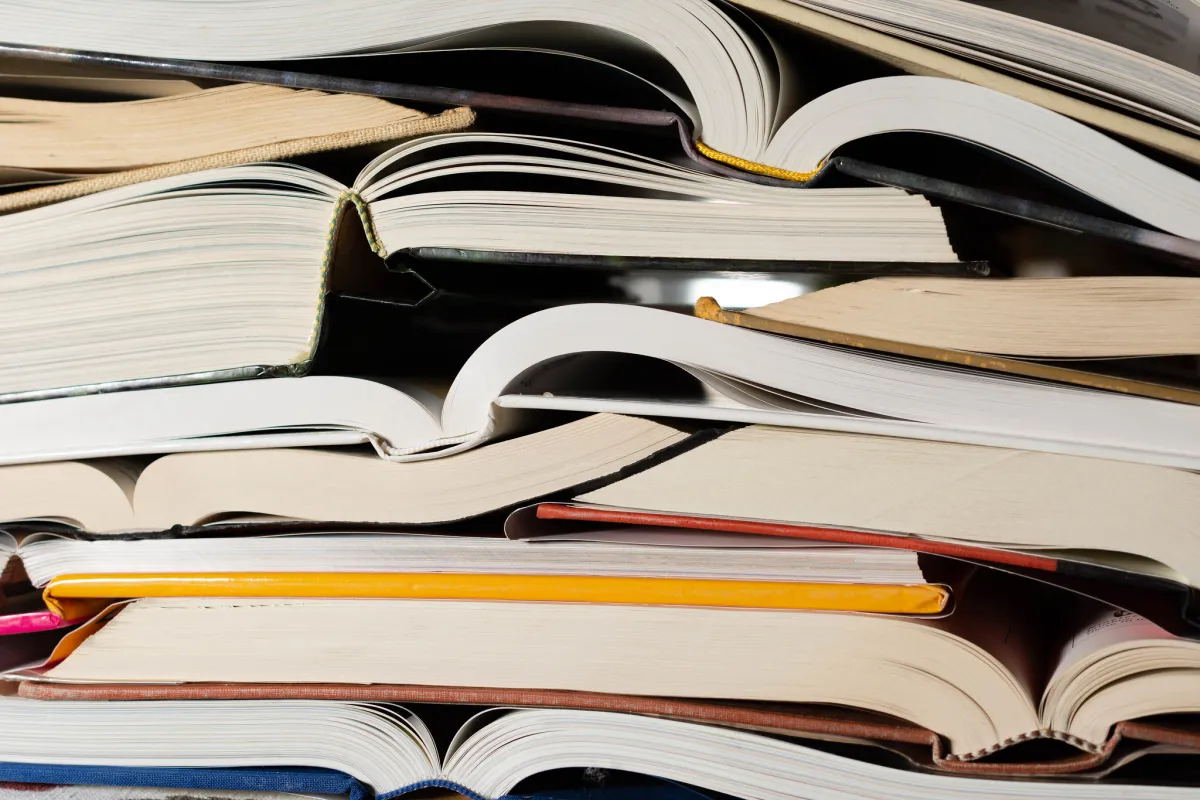Anthropic Settlement and Compensation Payment Allocation Raises Author's Doubts