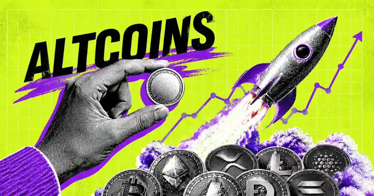 web3: Foreign media: The 100-fold increase in fake coins has not disappeared, but opportunities are more scattered