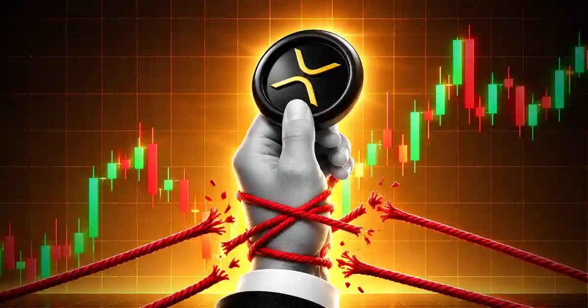 XRP富豪榜:据称持有2920枚XRP即可进入前10%