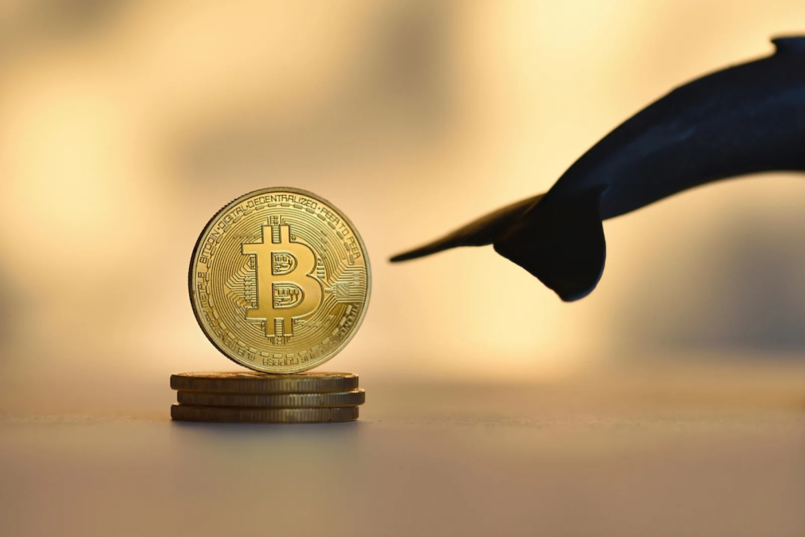 沉寂6年的比特币鲸鱼转移4582枚BTC，价值3.7758亿美元