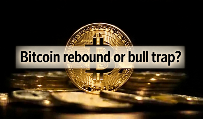 Bitcoin Price Today: ETF $527M Inflow Rebound or Bull Trap?