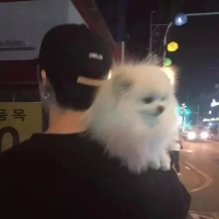评论头像