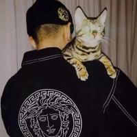 评论头像