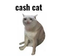 CASHCAT如何让新链登顶DEX榜首？新链日交易量8.77亿Meme驱动还是真价值？